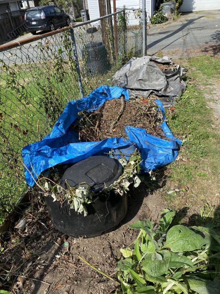 removing Leaves in yard waste