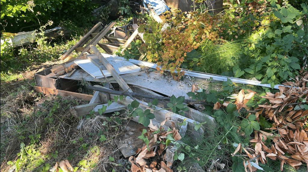 yard garbage removal