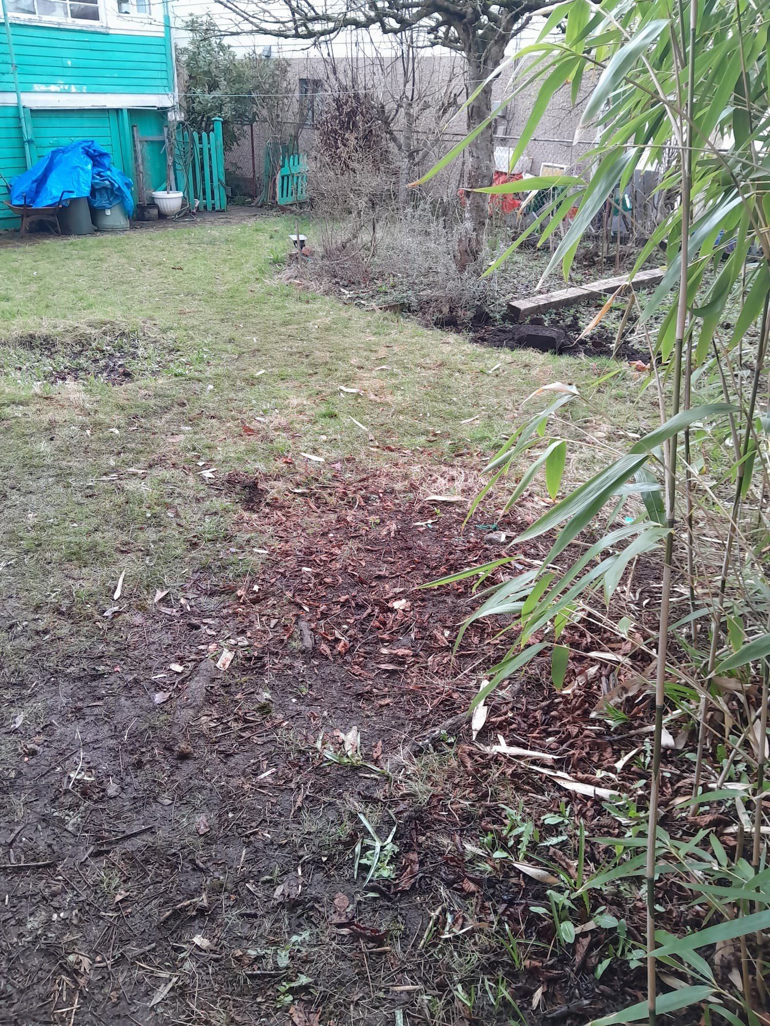 After yard waste junk removal in Richmond
